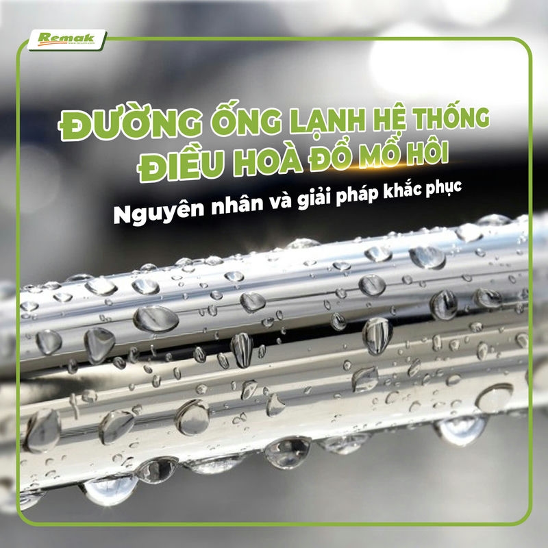 Đào tạo logistics